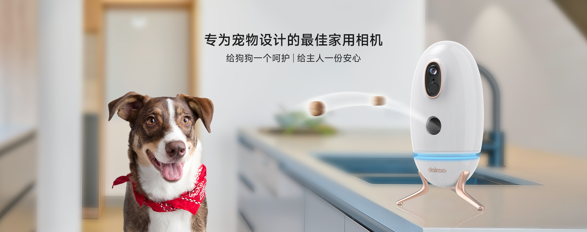 深圳市美视力科技有限公司ZhiMu Tech Dokoo智能寵物(wù)投食器