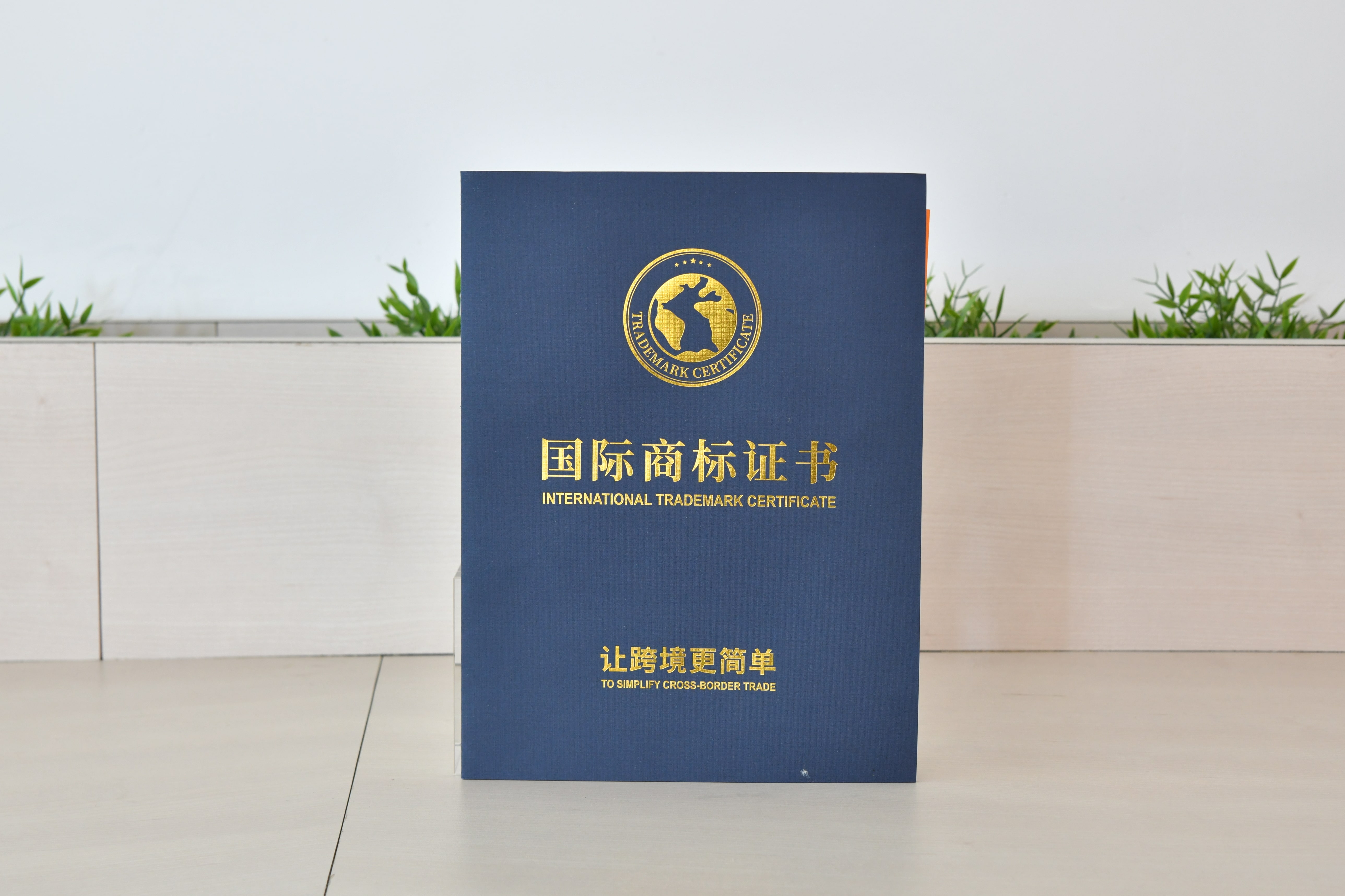 深圳市美视力科技有限公司公司榮譽&證書(shū)